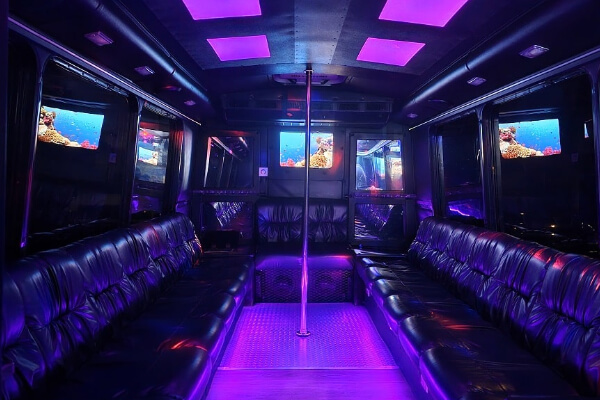 Dance pole in a limo