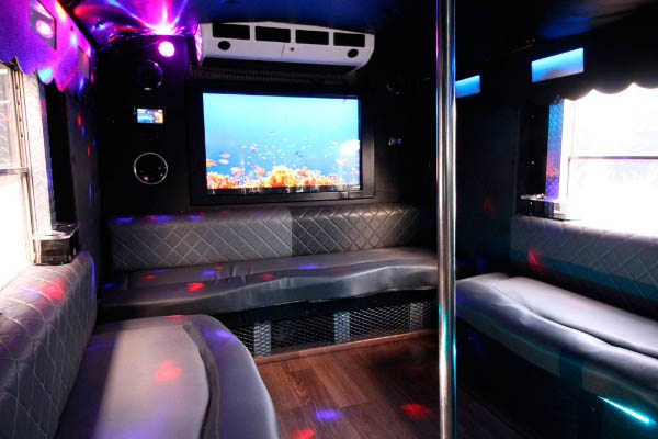 Flat-screen TV in a party bus