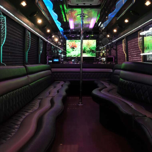 Pole dance in a party bus